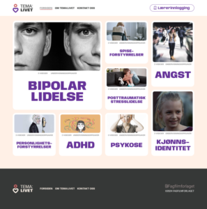 wordpress-theme-development-salihan-mridha