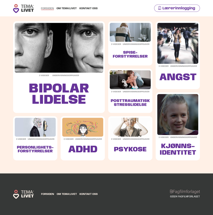 wordpress-theme-development-salihan-mridha
